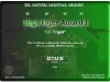 IZ7AUH-30MDG-High-Flyer-I-Certificate-page-001