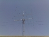 26062006308