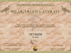 30MDG SA-10 Award Certificate #0392